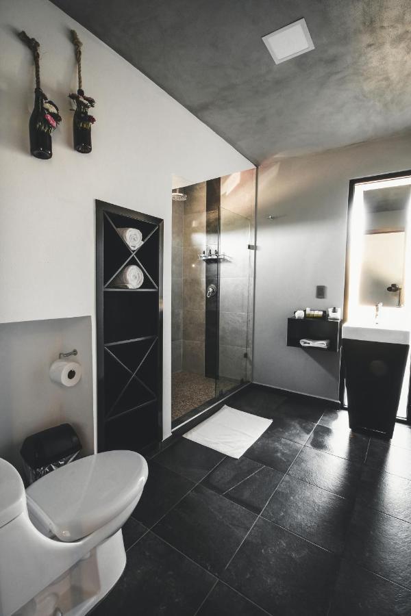 Origen75 Loft - Villas - Skypool - Vinedo, Valle De Guadalupe Esterno foto
