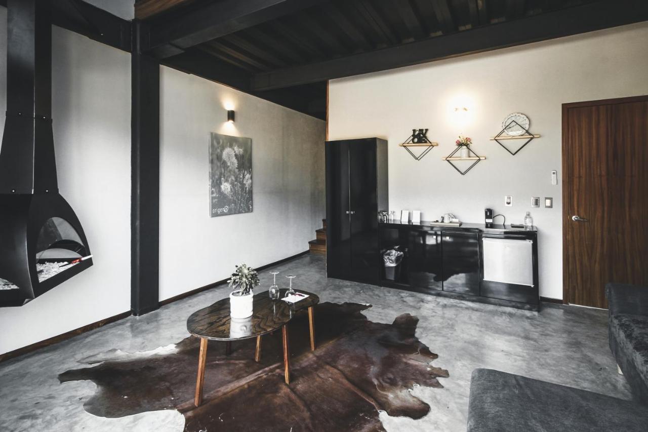Origen75 Loft - Villas - Skypool - Vinedo, Valle De Guadalupe Esterno foto