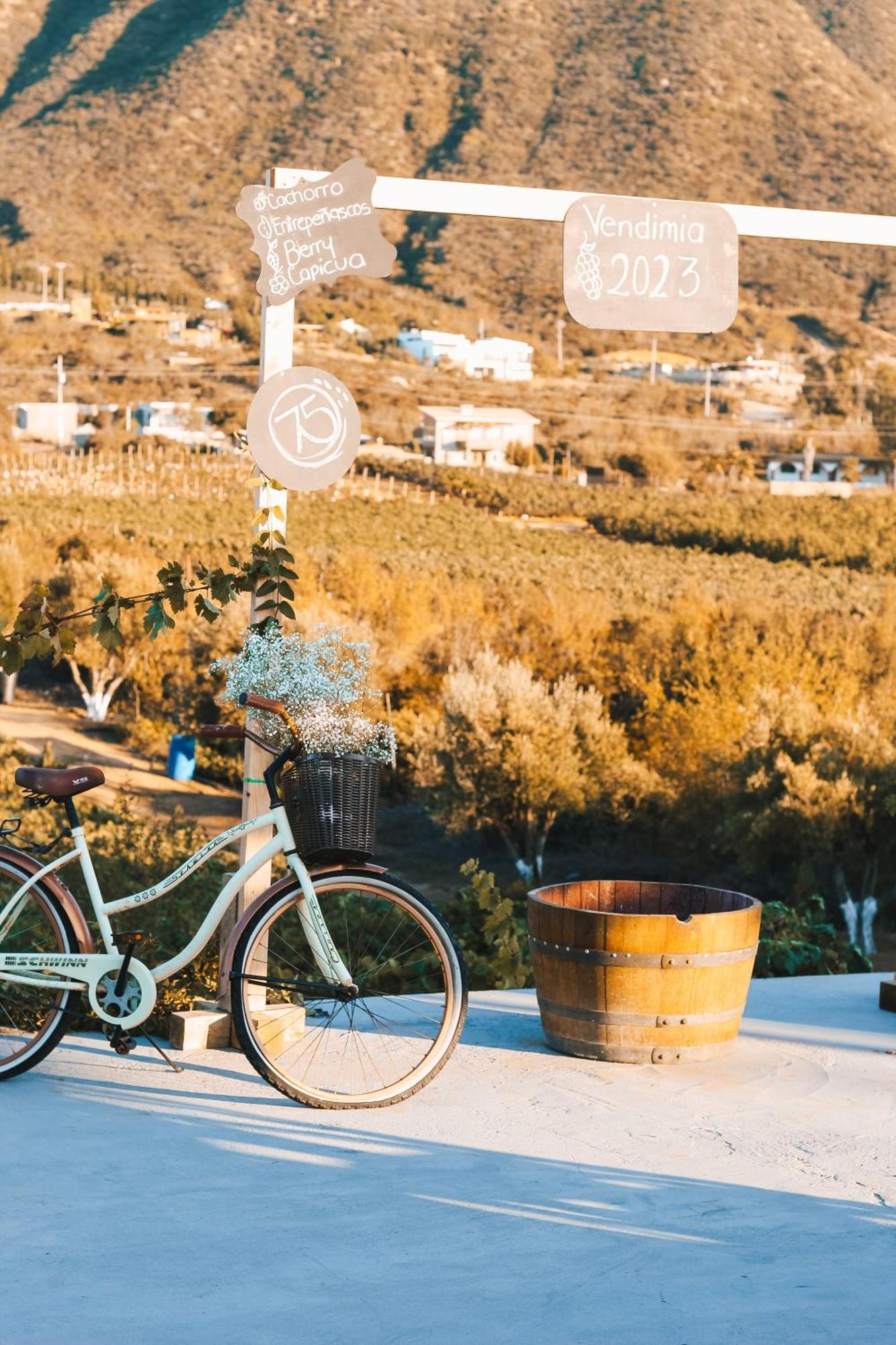 Origen75 Loft - Villas - Skypool - Vinedo, Valle De Guadalupe Esterno foto