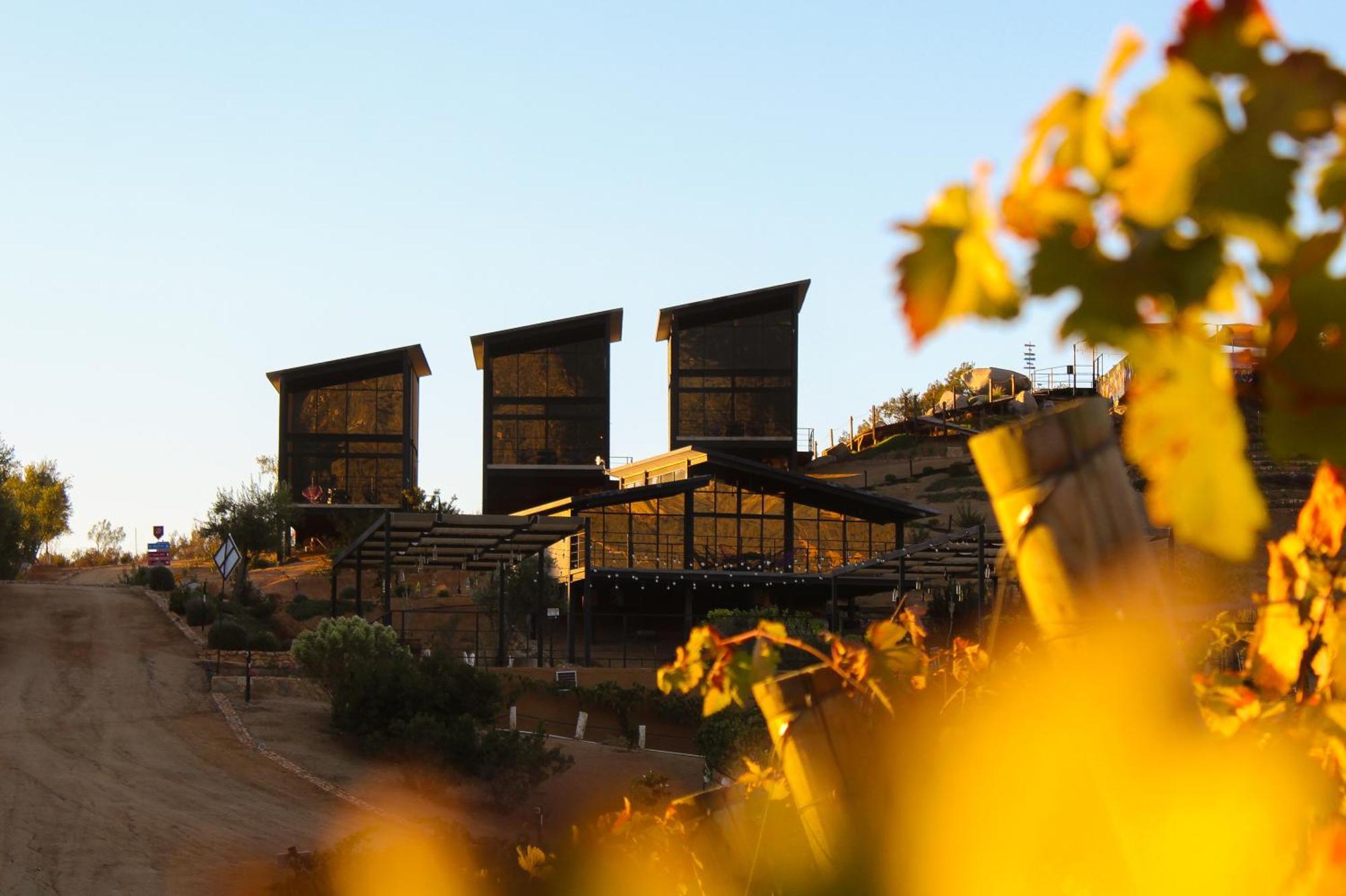 Origen75 Loft - Villas - Skypool - Vinedo, Valle De Guadalupe Esterno foto